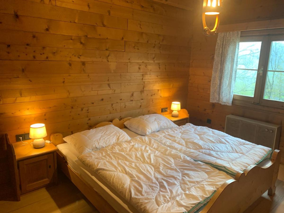 Ferienwohnungen Im Blockhaus Metzler 슈바르첸베르크 임 브레겐처발트 외부 사진